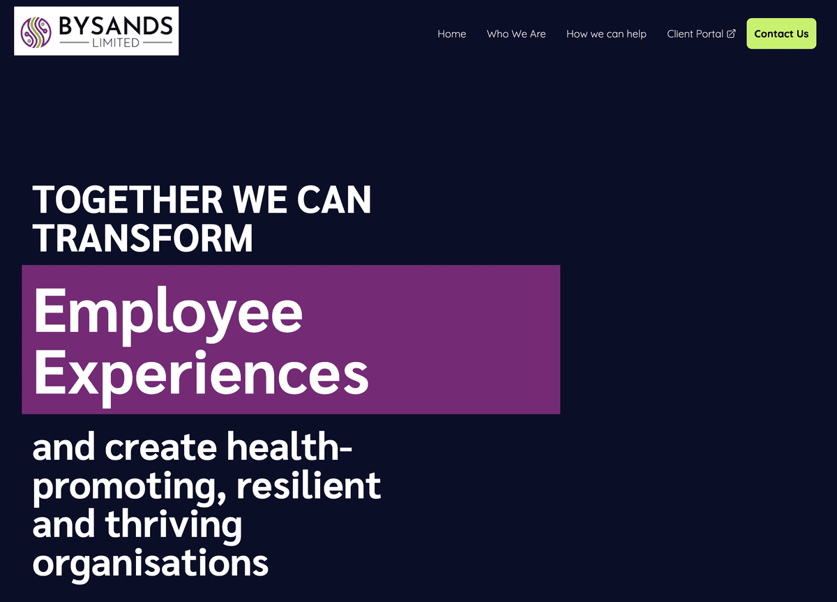 Preview of bysands.com website